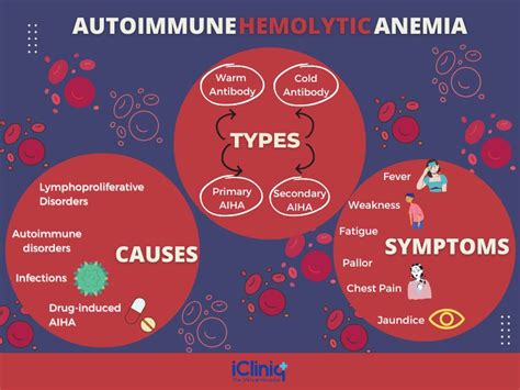 Hemolytic Anemia: Causes, Symptoms, and Diagnosis.